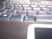 100_5825.jpg