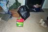 Filename=DCP_3413.JPG
Filesize=65KB
Dimensions=800x531
Date added=Feb 01, 2009 DCP_3413.JPG
