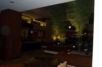 DCP_3471.JPG