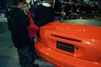 DCP_3700.JPG