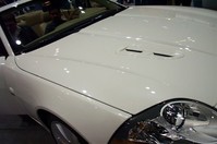DCP_3785.JPG