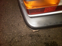 IMG00091-20100703-2134.jpg
