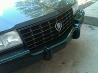 IMG00109-20100709-1429~0.jpg