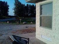 IMG00177-20100802-0709.jpg