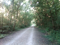 IMG00178-20100802-0742.jpg