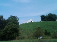 IMG00186-20100802-1055.jpg