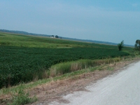 IMG00187-20100802-1056.jpg