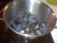 IMG00432.jpg