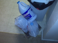 bleach.jpg