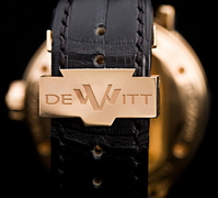 dewitt_clasp.jpg