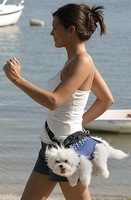fannypackdog.jpg