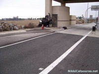 Filename=nikki-catsouras-porsche-girl-crash-2.jpg
Filesize=98KB
Dimensions=800x600
Date added=May 02, 2009 nikki-catsouras-porsche-girl-crash-2.jpg