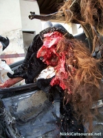 nikki-catsouras-porsche-girl-crash-8.jpg