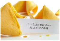 turtlescookie.jpg