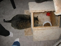 n502443044_776504_6744.jpg